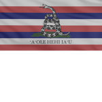 [KH] Hawaiian Rifle Association