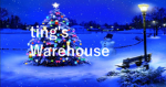 ting's warehouse
