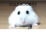 Cult society