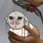 El grupo de los nefifans