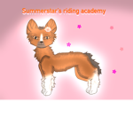 Summerstar riding academy