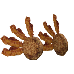 meat valk addon