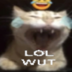 Meow Lol Wut