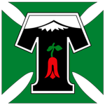 deportes temuco