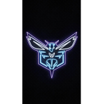 B.L.A.C.K H.O.R.N.E.T.S
