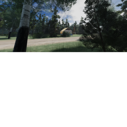 forest hangout thingy