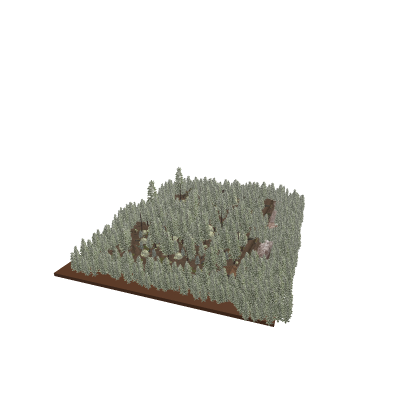 Forest9.0