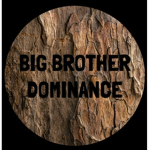 Big Brother Dominance