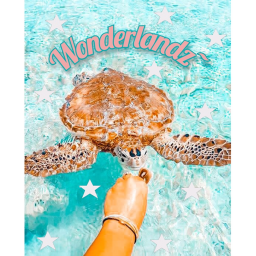 Wonderlandz homestore