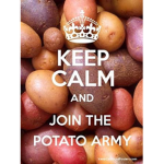 The major potato league