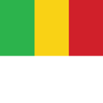 mali mechanized battalion