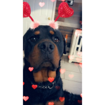 StrawberryrCheeks