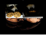 The chips ahoy fan club