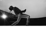Freddie Mercury Fan Club