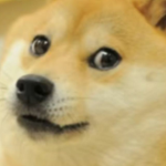 不知道取什么名字