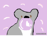 Stay sunny koalas