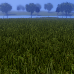 A Graphical Looking Roblox Game