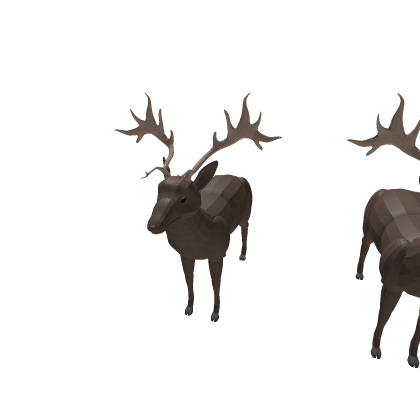 Deer Rigging Practice