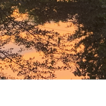 Beautiful night
