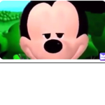 Mickeymouse fans