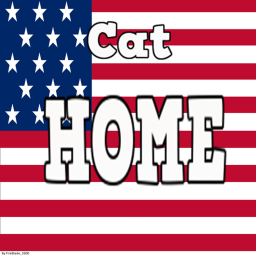 Cat Home