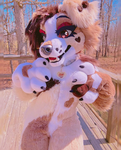 LGBTQ Fluffy Community