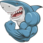 the gray white sharks