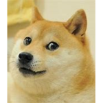 the doge galaxy