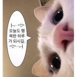 기여미들의 기부 소통방