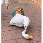 Doritos ricos
