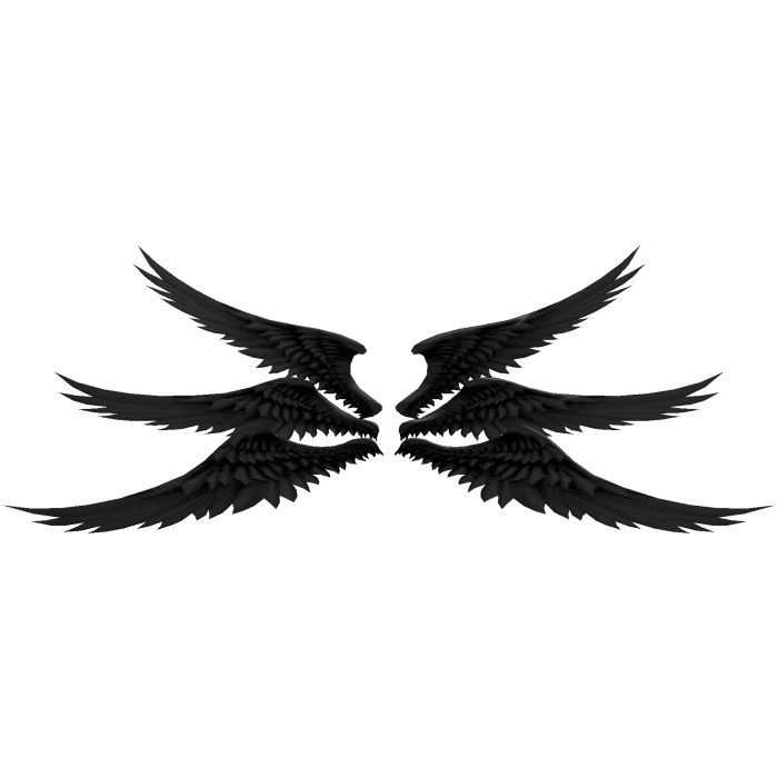 divine black angel wings
