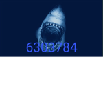 0_0sharkgo