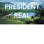 President real