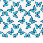 Blue Butterfly Squad:D