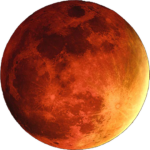 Fever Moon