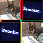 Snoocbc + MynamesMaryesthernest