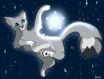 Warrior cat(s) fans