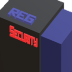 REG Security