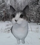 Sourcats fan club Group Thumbnail