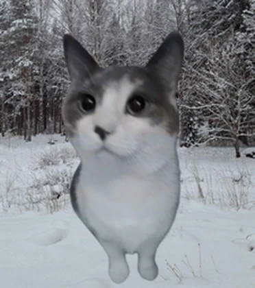 Sourcats fan club Roblox group icon