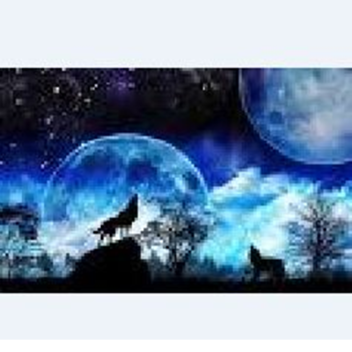 SpiritWolf wolf pack vs Devour pack