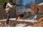 Dog in