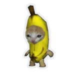 Join to be a pro at roblox