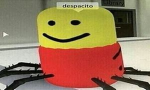 Loyal Despacito spiders