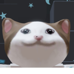 -beluga’s server