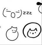 cats fanclub!1!!1 :3