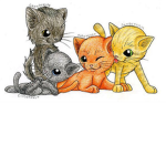 Cats Rule!!