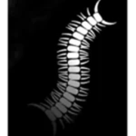 Worm 濳.