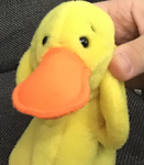 TheCoolDuck