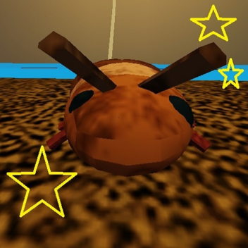 observe beetle